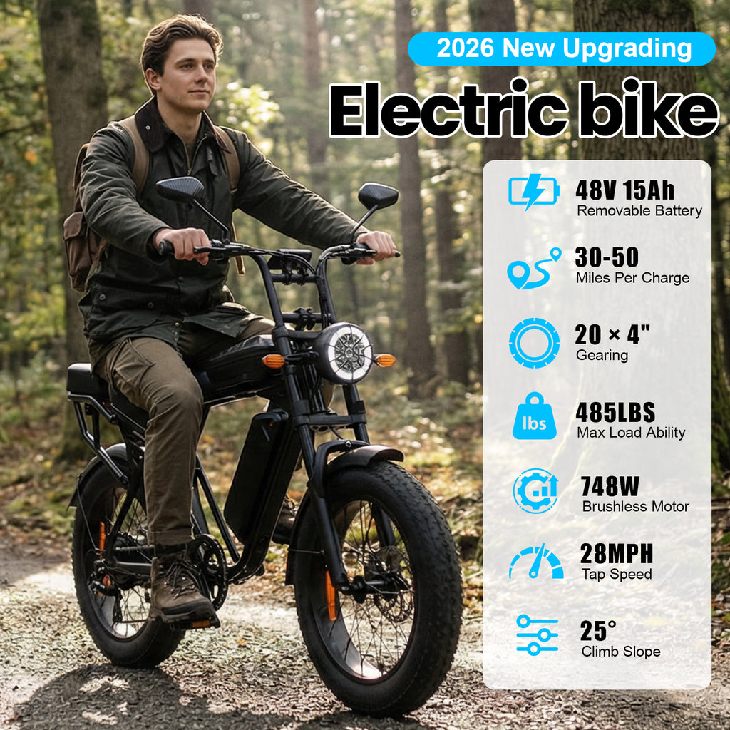 Aairsk X5 20" Electric City EBike for Adults, Fat Tire Ebike, 250W High Speed Brushless  Motor, Removable 48V 15Ah Battery, Shimano 7-Speed, LCD Display with Card Access, Complimentary accessories